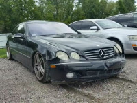 2003 MERCEDES-BENZ CL WDBPJ75J93A033923