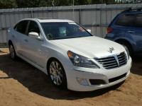 2011 HYUNDAI EQUUS KMHGH4JF5BU029051