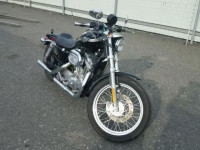 2003 HARLEY-DAVIDSON XL883 1HD4CEM1X3K420705