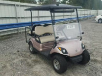 2013 GOLF CART JW8309765