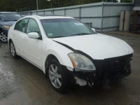 2004 NISSAN MAXIMA SE 1N4BA41E74C826328