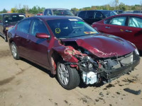 2010 NISSAN ALTIMA BAS 1N4AL2AP7AN446241