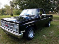 1983 GMC C1500 1GTDC14H3DS525370