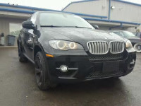 2010 BMW X6 5UXFG8C52ALZ94998