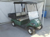 2009 GOLF CART JW6000385