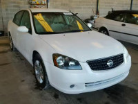 2006 NISSAN ALTIMA S 1N4AL11D36N433008