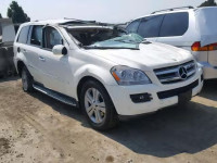 2007 MERCEDES-BENZ GL 450 4JGBF71E17A258361