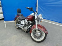 2009 HARLEY-DAVIDSON FLSTN 1HD1JD5119Y029661