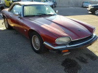 1993 JAGUAR XJS SAJNW4741PC187716