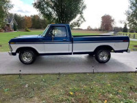 1977 FORD F-150 F15SP080230