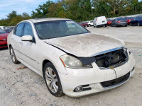 2009 INFINITI M45 JNKBY01F39M750176