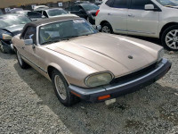 1993 JAGUAR XJS SAJNW4745PC187993