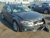 2013 AUDI A3 WAUMFAFM7DA030481