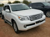 2010 LEXUS GX JTJBM7FX7A5005045