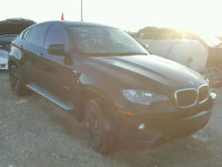 2013 BMW X6 5UXFG8C59DL591010