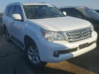 2010 LEXUS GX JTJBM7FXXA5016587