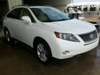 2010 LEXUS RX 450 JTJBC1BA4A2026311