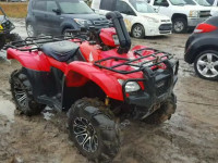 2013 HONDA TRX500 1HFTE3802D4105051