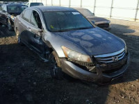 2011 Honda Accord Lxp 1HGCP2F46BA003501