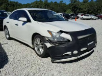 2010 NISSAN MAXIMA S 1N4AA5AP5AC847774