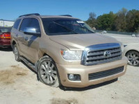 2010 TOYOTA SEQUOIA 5TDJY5G19AS034784