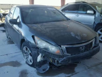 2010 HONDA ACCORD LXP 1HGCP2F41AA164529