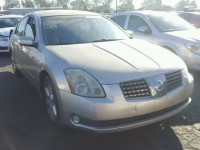 2004 NISSAN MAXIMA SE 1N4BA41E24C915725