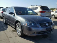 2006 NISSAN ALTIMA S 1N4AL11D96N372165