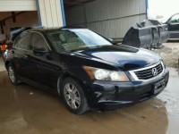 2010 HONDA ACCORD LXP 1HGCP2F46AA063096