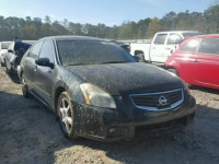 2007 NISSAN MAXIMA SE 1N4BA41E97C832409