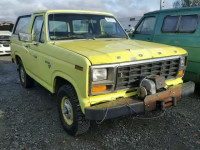 1981 Ford Bronco U10 1FMDU15G1BLA61856