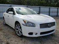 2009 NISSAN MAXIMA S 1N4AA51E49C808734