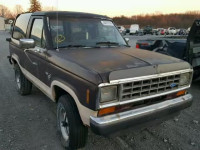 1986 FORD BRONCO II 1FMCU14T1GUC41737