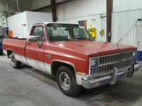 1981 CHEVROLET C10 2GCDC14Z8B1155488