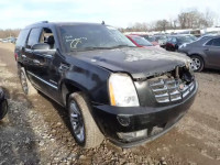 2010 CADILLAC ESCALADE P 1GYUCCEF0AR216056