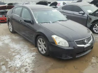 2008 NISSAN MAXIMA SE 1N4BA41E08C831750