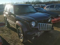 2004 JEEP LIBERTY LI 1J8GL58KX4W152226