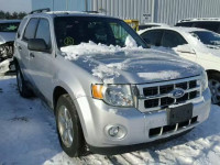 2011 FORD ESCAPE XLT 1FMCU9DG5BKB17699