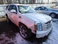 2010 CADILLAC ESCALADE P 1GYUKCEF7AR259456