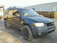 2003 FORD ESCAPE XLT 1FMYU93133KA77742