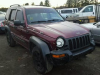 2003 JEEP LIBERTY SP 1J4GL48KX3W500973