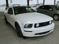 2007 FORD MUSTANG GT 1ZVFT82H375206992