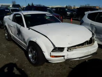 2005 FORD MUSTANG GT 1ZVHT82H055132713