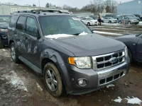 2012 FORD ESCAPE LIM 1FMCU9E71CKA12576