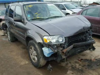 2005 FORD ESCAPE LIM 1FMYU94155KA37812