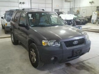 2005 FORD ESCAPE XLT 1FMYU03195KA75962