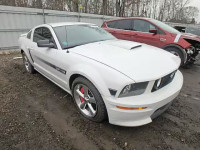 2008 FORD MUSTANG GT 1ZVHT82H685202459