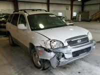 2003 HYUNDAI SANTA FE G KM8SC13D93U391906