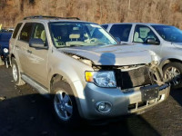 2011 FORD ESCAPE XLT 1FMCU9DG7BKB38196