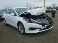 2016 HYUNDAI SONATA SE 5NPE24AF5GH406136